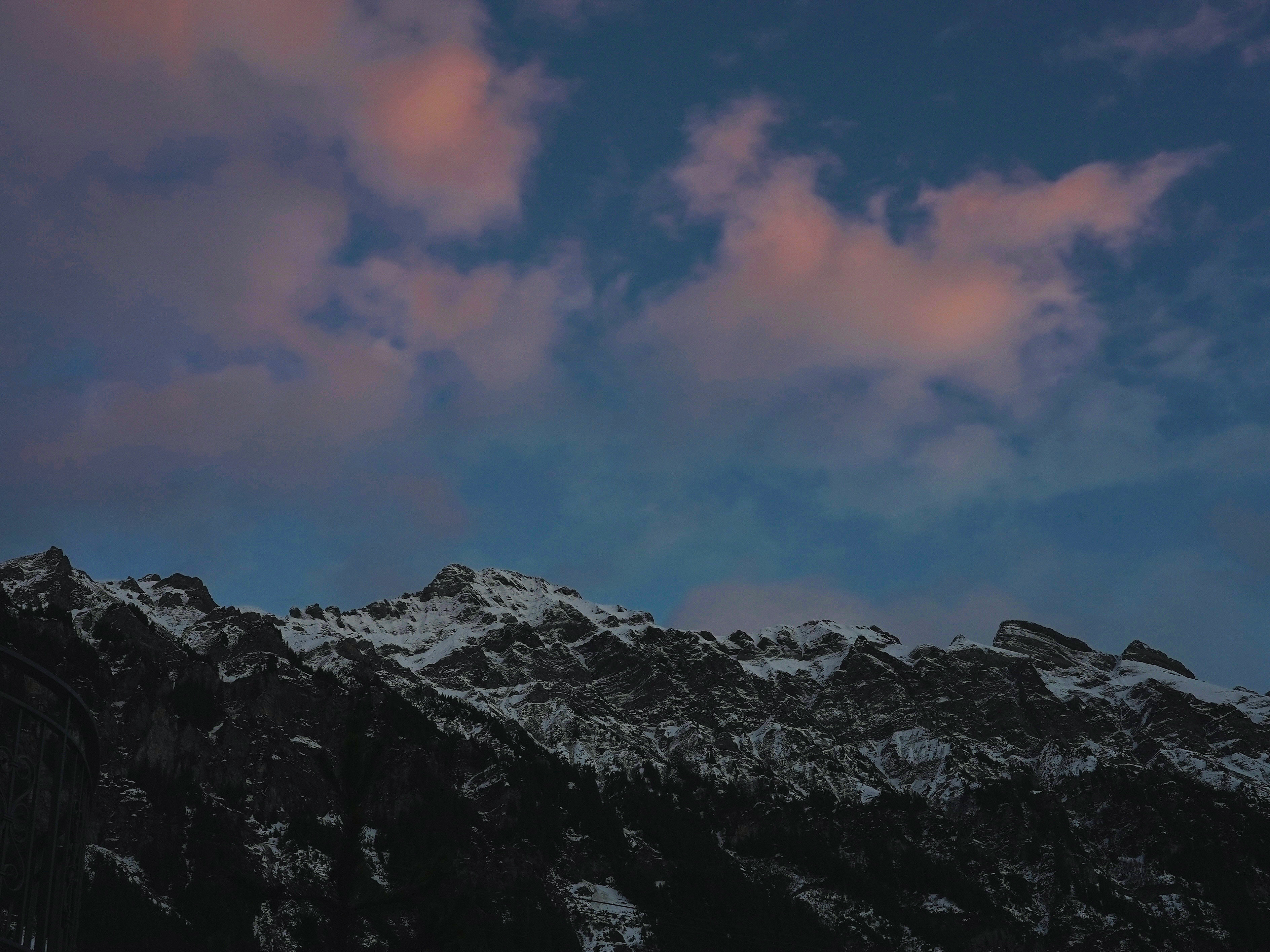 Cold Pink, Grindelwald