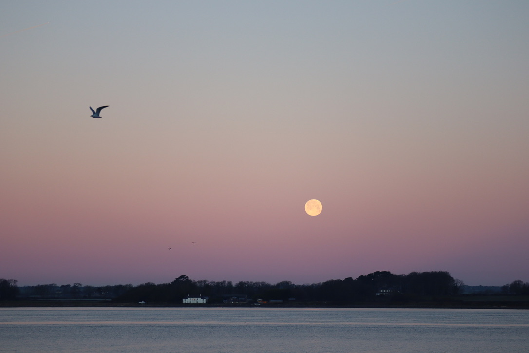 Moon Rise, Caernarfon